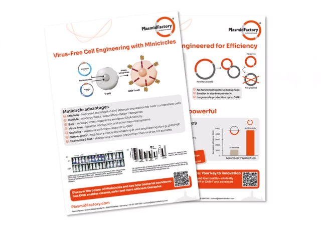 Info Sheet "Minicircle DNA in CAR-T Production"