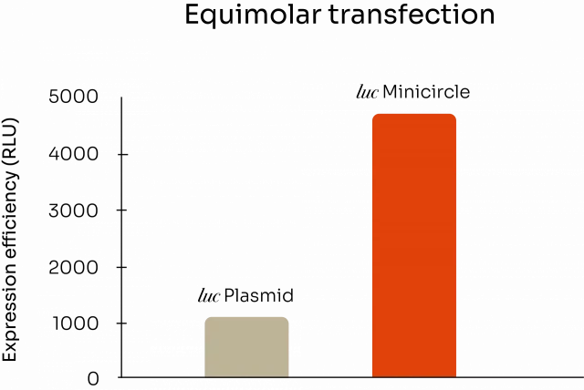 Expression Efficiency - Plasmid vs. Minicircle