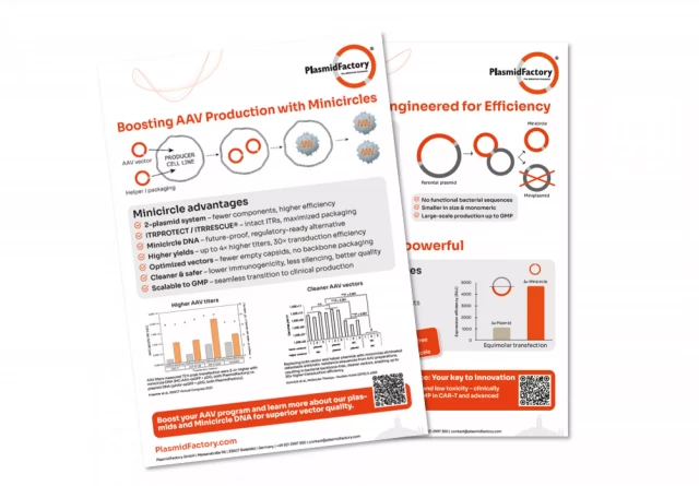 Boosting AAV Production with Minicircle - Flyer