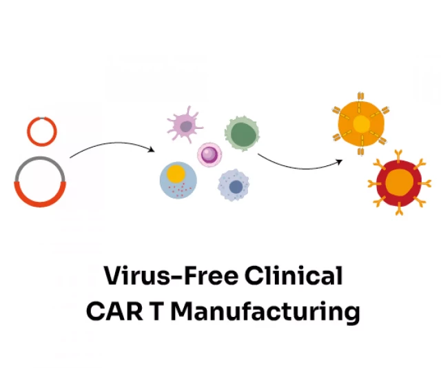 CAR-T-cell Production